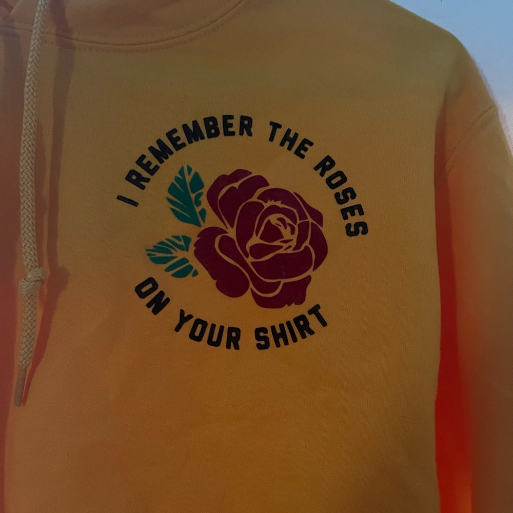 5SOS want you back cropped gildan hoodie